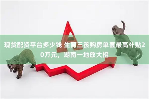 现货配资平台多少钱 生育三孩购房单套最高补贴20万元，湖南一地放大招