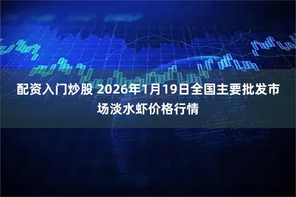 配资入门炒股 2026年1月19日全国主要批发市场淡水虾价格行情